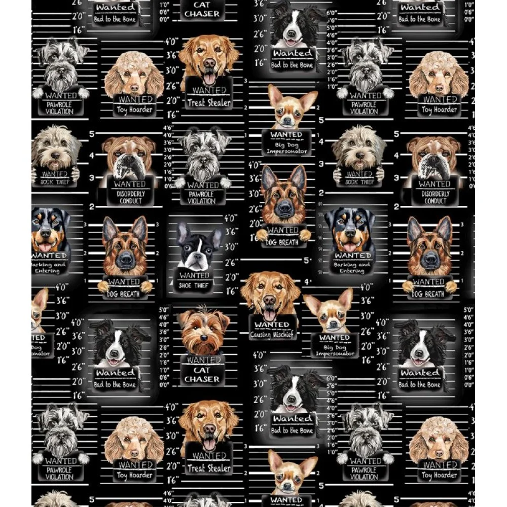 Animal Dog Mugshots Black