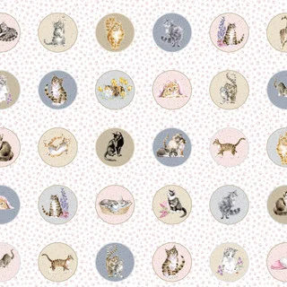 Animal Maywood Whiskers and Paws 10412z