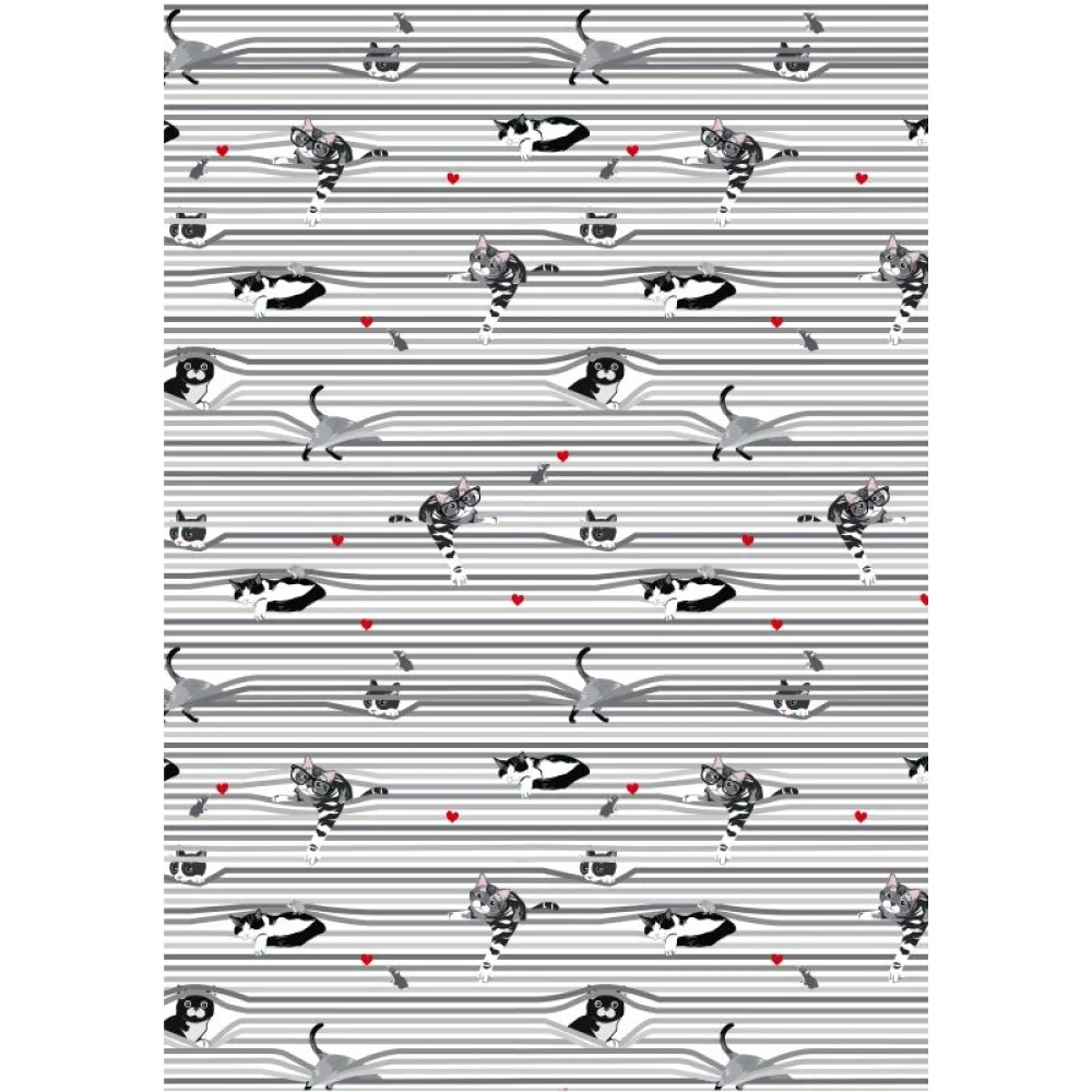 Animal Peekaboo Shade Cats White