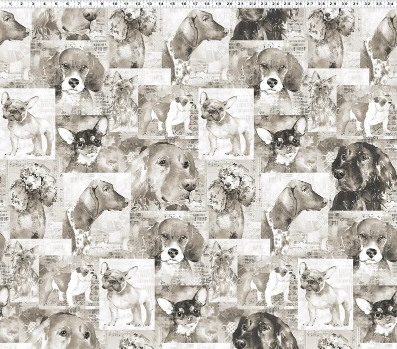 Animals 4281 62 Collage Dogs Taupe