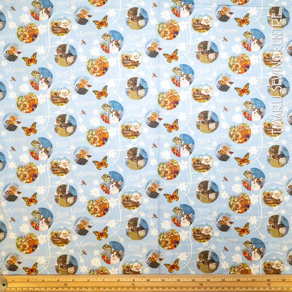 Animals Kittens In Circles Blue