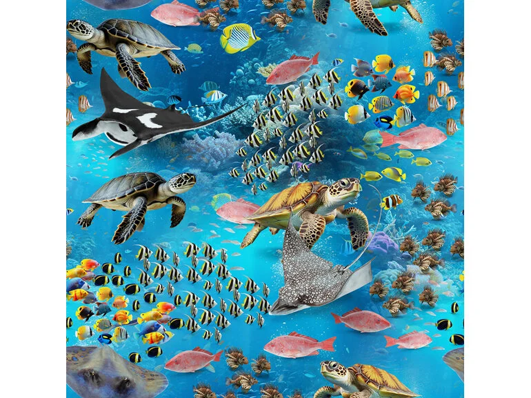 Animals Marine Marvels Turtles
