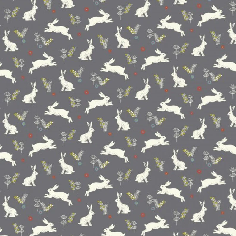 Animals Wildwood Rabbits On Grey