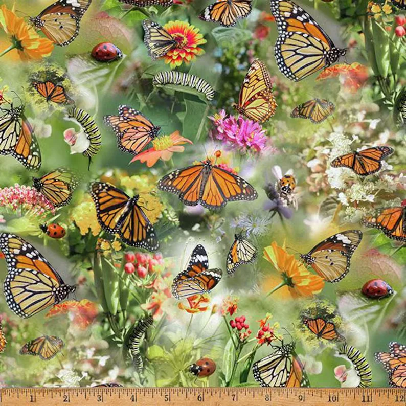 Butterfly Caterpillar Ladybird Meadows