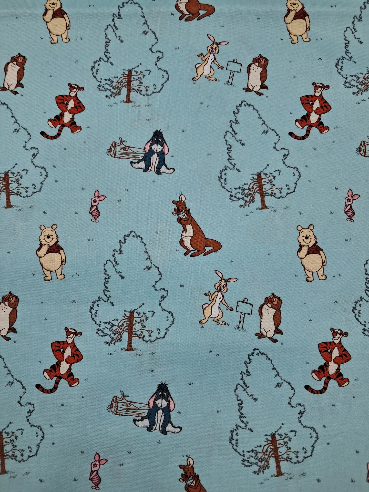 Children Winnie The Pooh 30460 1