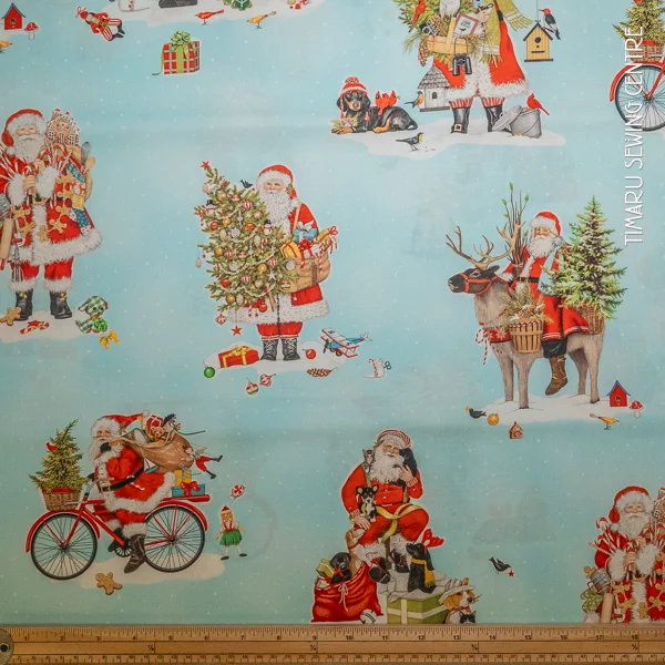 Christmas Holly Jolly Santa Animals
