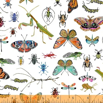 Deep Forest Bugs On White