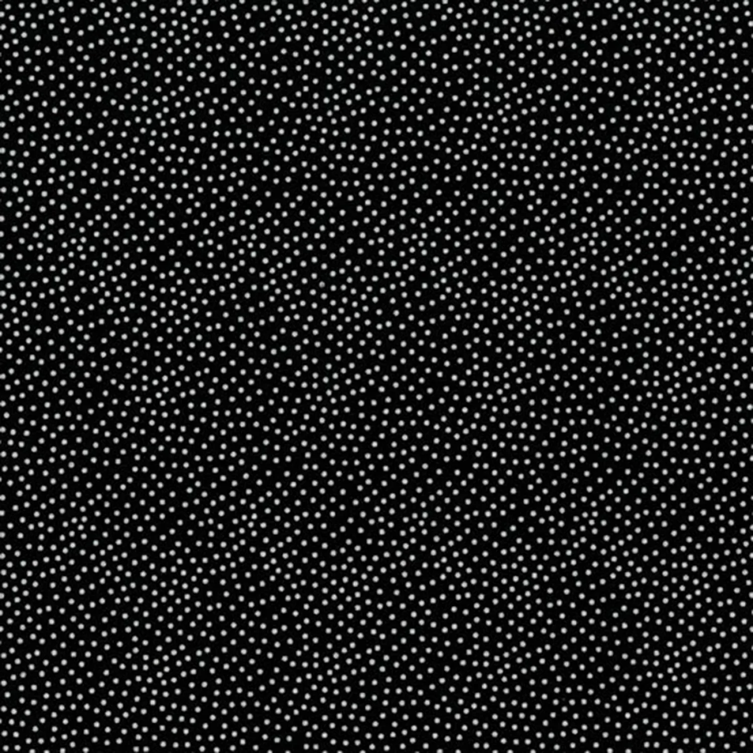 Dots Michael Miller Garden Pindot Black