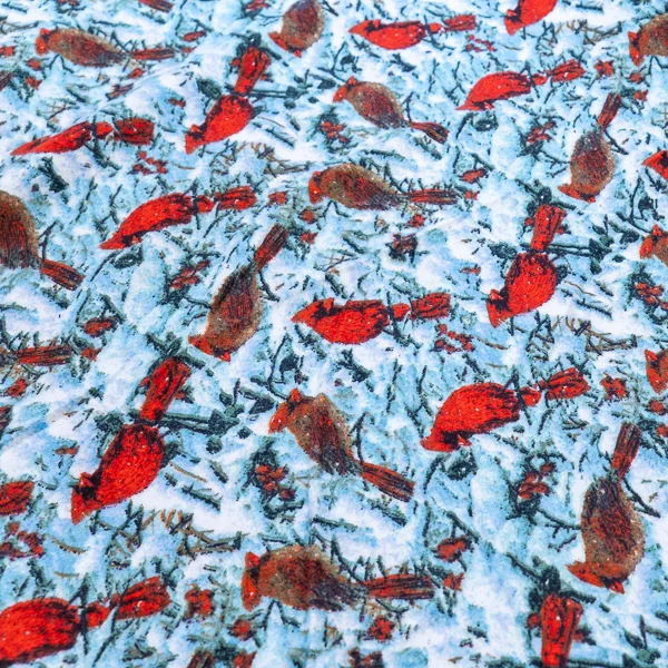 Fabric Flannelette Snow Birds