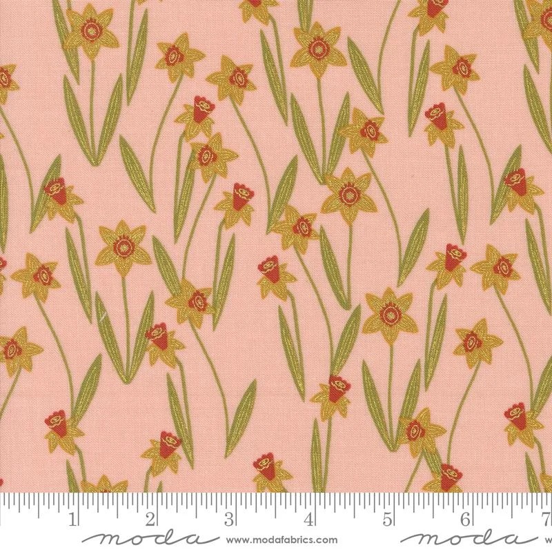 Flowers Darling Daffodils Rose