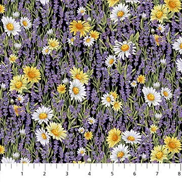 Flowers Lavender Market Daisy Lavender
