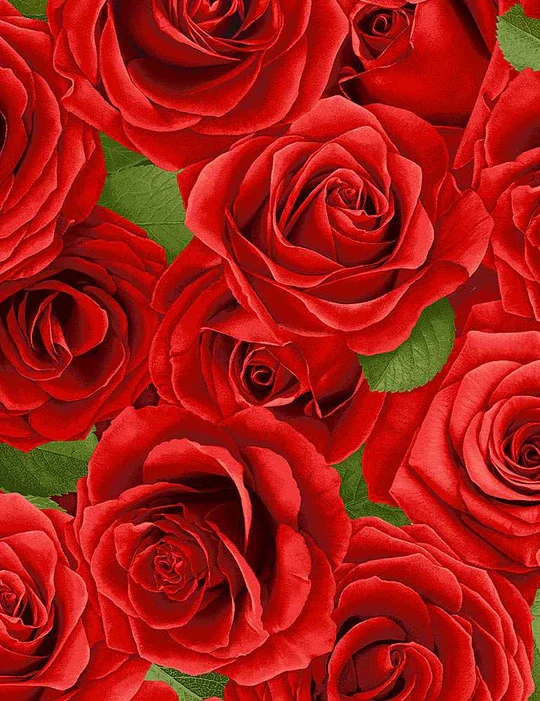 Flowers Packed Roses Large Red