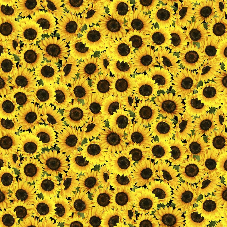 Flowers Packed Sunflowers Yellow