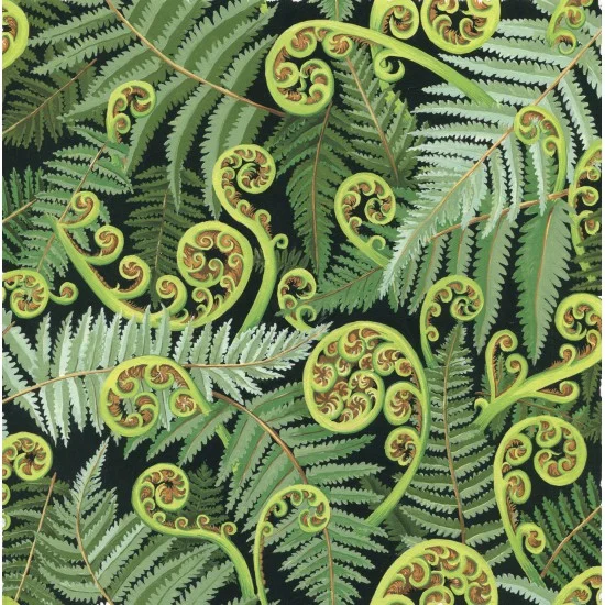 Quilt Backing Koru Fronds Green
