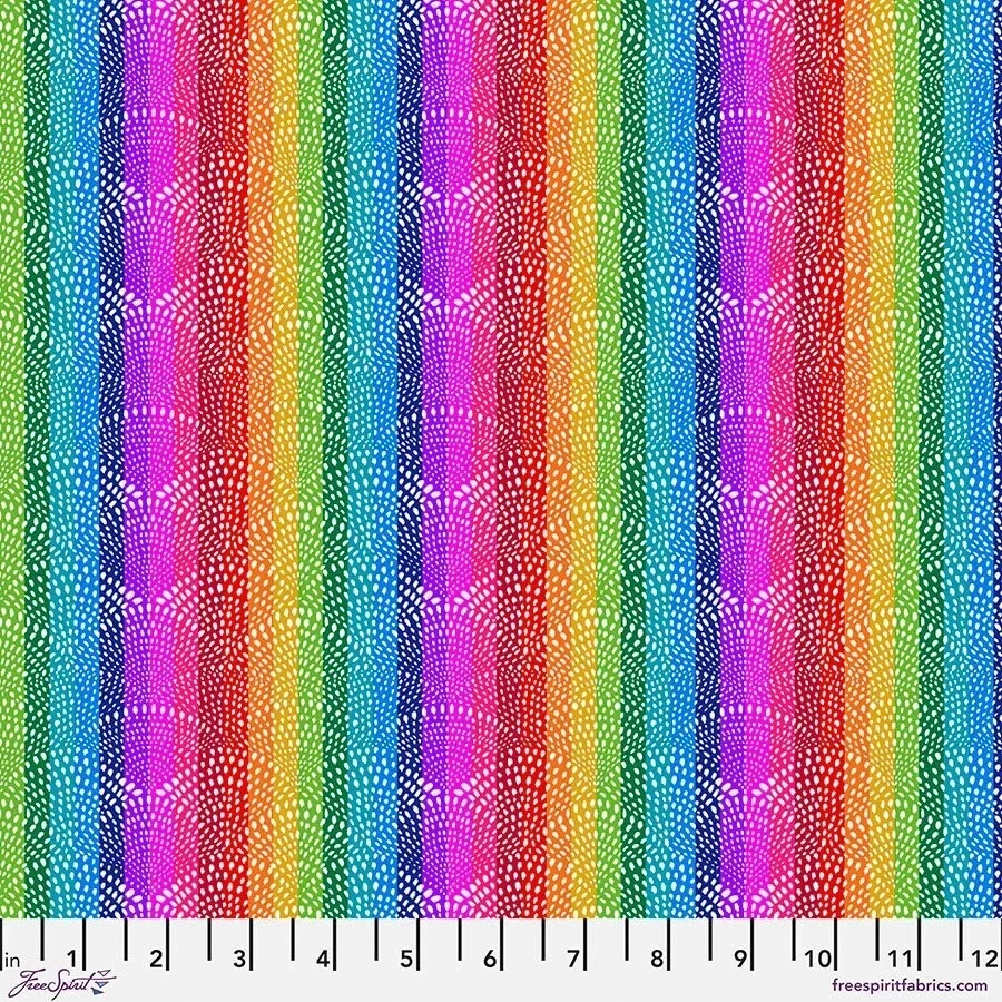 Shapes Rainbow Fan Dots