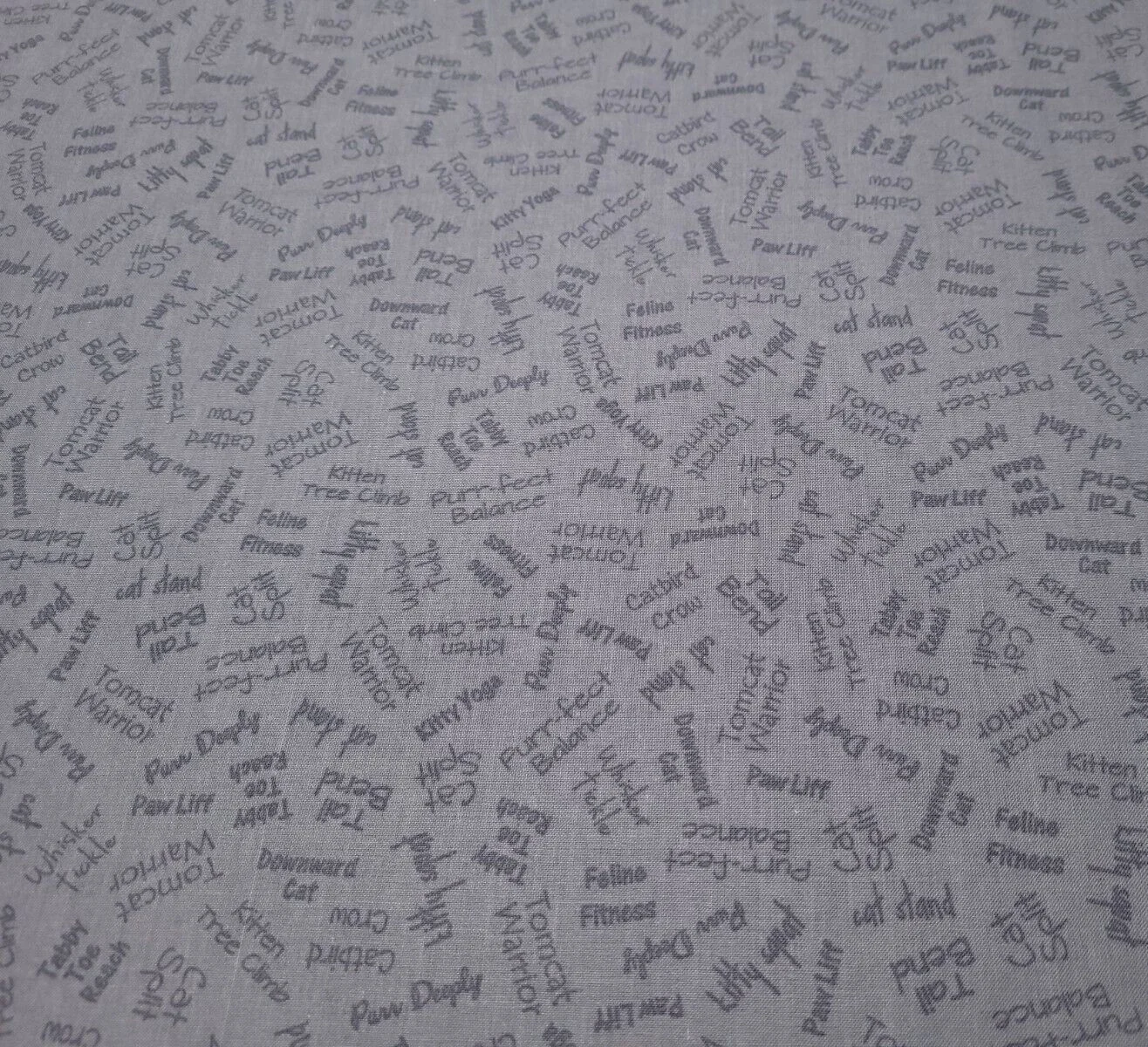Words Cat Words On Grey