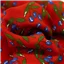 Fabric Messina Viscose Print Red - photo 1