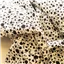Fabric Shelby White Black Print - photo 2