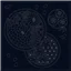 Sashiko Squares Seasons