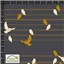 Animal Birds On Move Grey Mustard