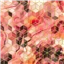 Shapes Aindm 98 Strawberry Gold Vibes