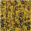 Shapes Gustav Klimt Gold
