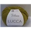 Bellissimo Lucca 50514 Chartreus