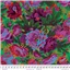 Kaffe Fassett Collec Floral Burst Green
