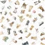 Animal Mwwhiskers Paws 10417w