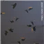 Animal Grey Black Glitter Raven - photo 2