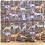 Animal Plaid Dogs On Brown - photo 1