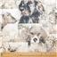 Animals 4281 62 Collage Dogs Taupe - photo 3