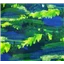 Scenes Natures Pace Trees Green Blue