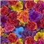 Flowers Noble Menagerie 5612