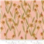 Flowers Darling Daffodils Rose
