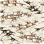 Children Giants Velociraptor Tan