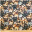 Quilt Backing 43990 2 Cat Faces - photo 1