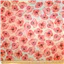 Quilt Backing 43510 Poppy - photo 1