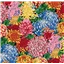 Kaffe Fassett Collective 107 Hokusai