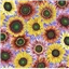 Kaffe Fassett Collective 111 Van Gogh