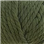 Broadway NZ Super Chunky 4647 Fern