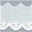 Lace Cambric White BA 10225