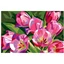 Tapestry Canvas 6289 Pink Floral