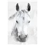Patchwork Panel Grey Horse On White
