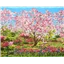Patchwork Panel Landscape Floral Blossom