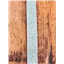 Ribbon Reptile 15mm Aqua