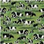 Animals 81910 2 Farmyard Cows