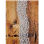 Lace 1482 5cm Corded White