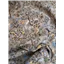 Fabric Light Brown Floral Print Corduroy - photo 3