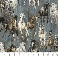 Animals Pedigree Horses Charcoal